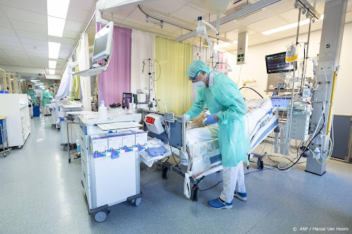 Aantal Coronapati Nten In Ziekenhuizen Stijgt Wederom Ditjes En Datjes