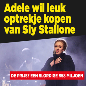 Adele wil leuk optrekje kopen van Sylvester Stallone