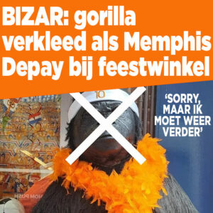 Bizar: gorilla verkleed als Memphis Depay bij feestwinkel
