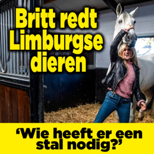 Britt Dekker redt Limburgse dieren