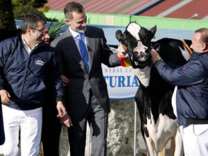 Koning Felipe poseert met koe
