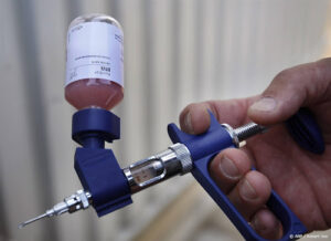 Minister laat tweede blauwtongvaccin toe: snel 1,3 miljoen doses