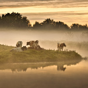 Holland &#8211; Natuur in de Delta