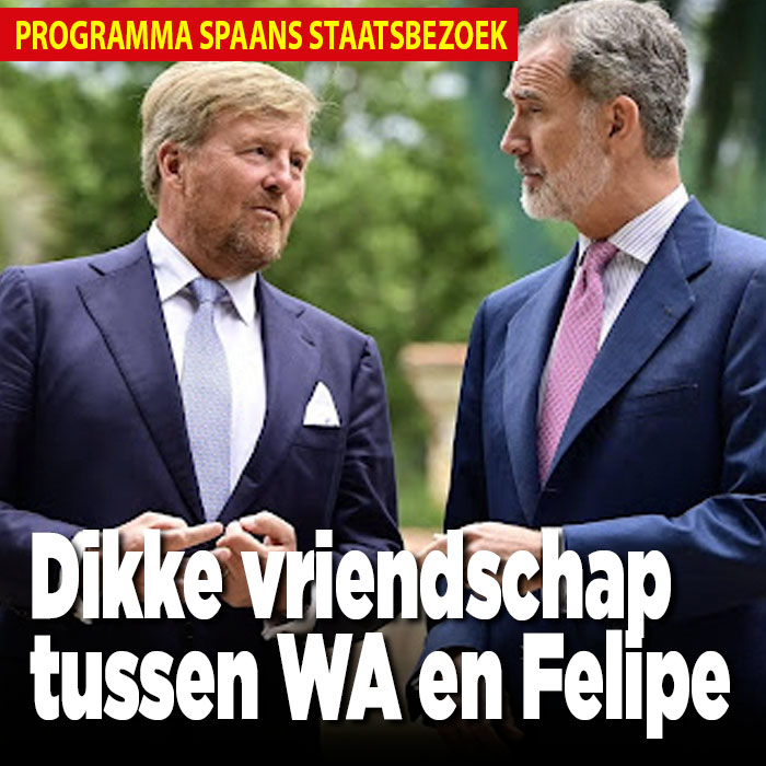 Koning Willem-Alexander en Felipe zijn twee dikke vrienden en ze spreken Spaans met elkaar.
