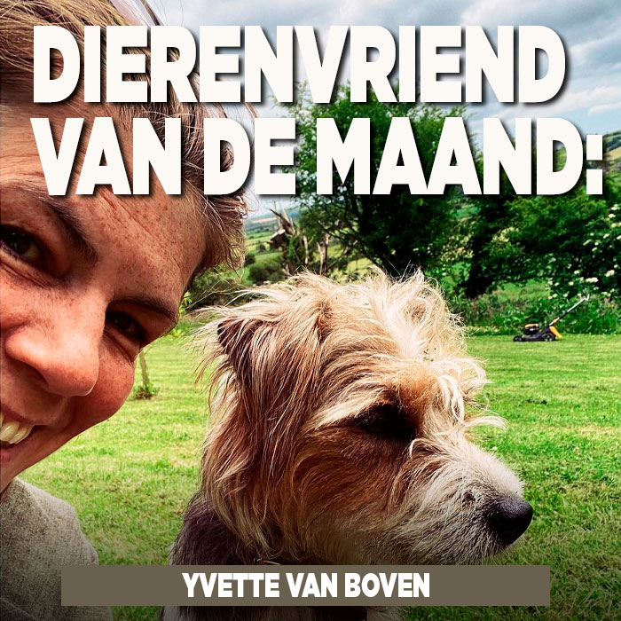 Dierenvriend van de maand: Yvette van Boven
