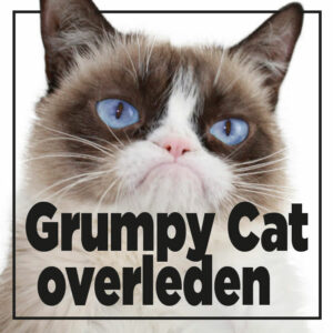 Interneticoon Grumpy Cat is overleden
