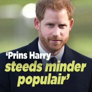 &#8216;Prins Harry steeds minder populair&#8217;