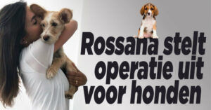 &#8216;Rossana zet honden op eerste plek&#8217;