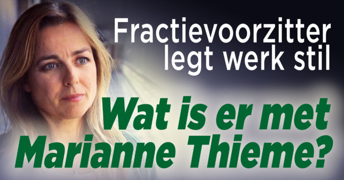 Marianne Thieme legt werk neer vanwege ziekte