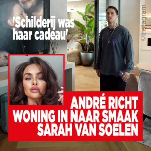 André richt woning in naar smaak Sarah van Soelen: &#8216;Schilderij was haar cadeau&#8217;