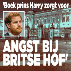 &#8216;Boek prins Harry zorgt voor angst bij Britse Hof&#8217;
