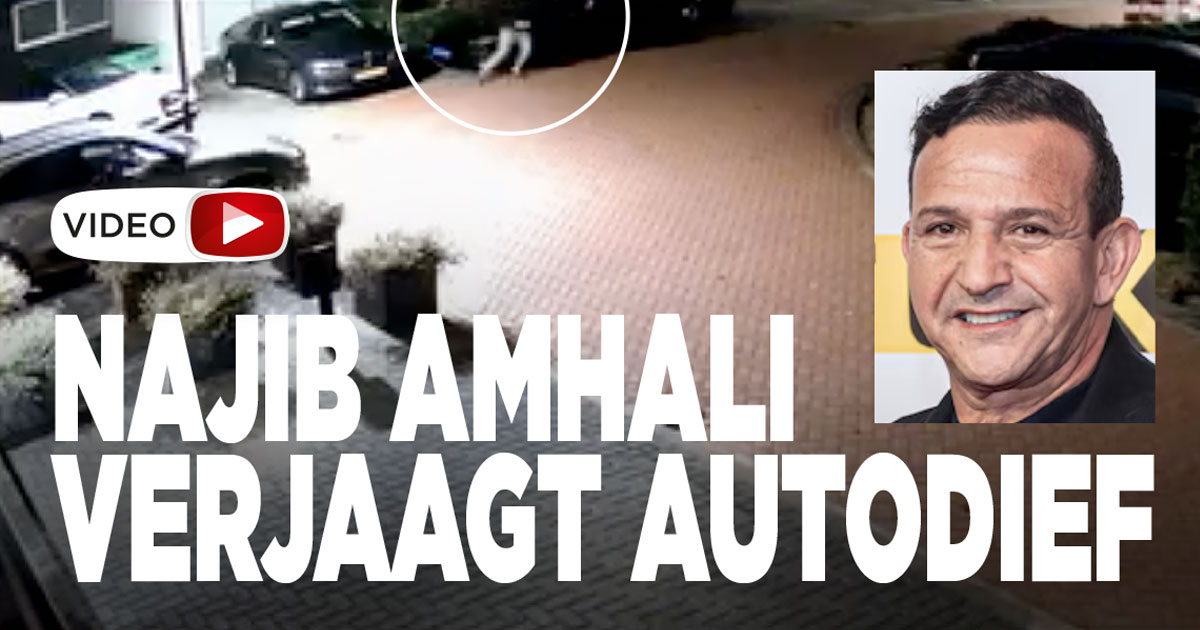 Najib verjaagt autodief