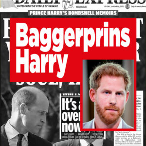 Baggerprins Harry door Britse media geslacht