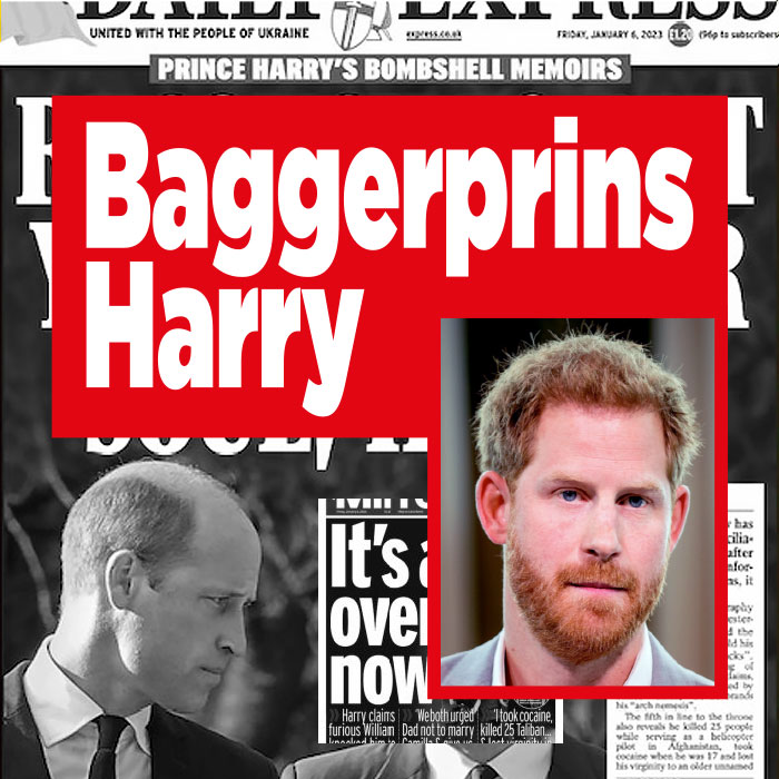 Prins Harry uitgekotst door Britse kranten|||
