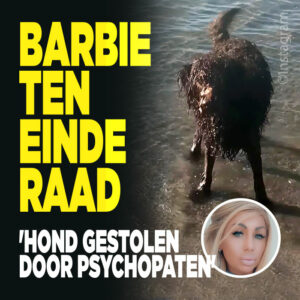 Barbie ten einde raad: &#8216;Hond gestolen door psychopaten&#8217;