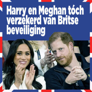 Harry en Meghan tóch verzekerd van Britse beveiliging