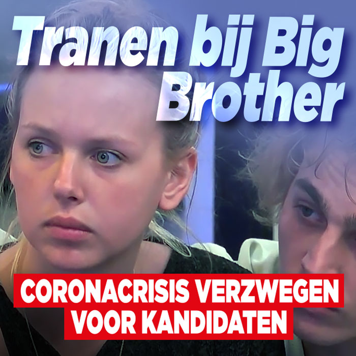 Big Brother||