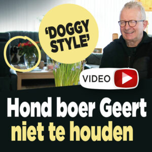 Hilarisch: Hondje boer Geert &#8216;leeft zich uit&#8217; op bank
