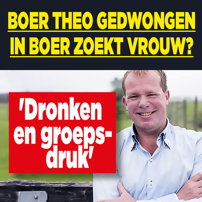 Boer Theo