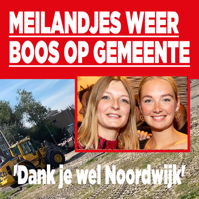 Meilandjes weer boos op gemeente Noordwijk