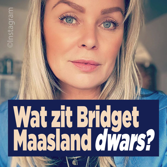 Wat zit Bridget Maasland dwars?