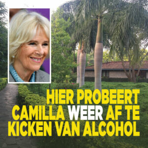 Hier probeert Camilla WEER af te kicken van alcohol