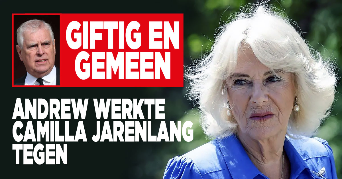 Andrew werkte Camilla tegen