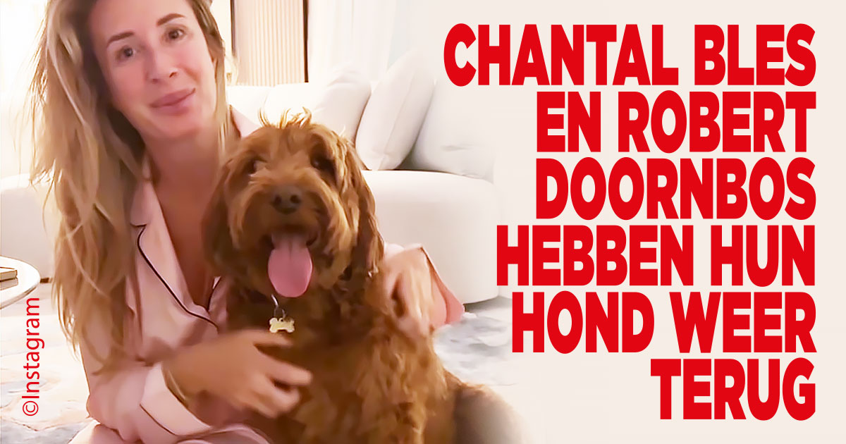 Hond weer terug in Dubai