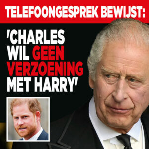 Telefoongesprek bewijst: &#8216;Koning Charles wil geen verzoening met Harry&#8217;