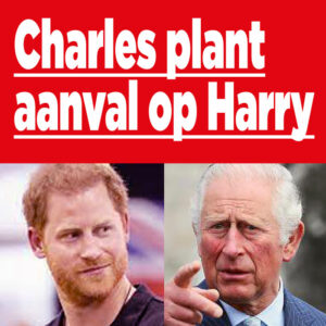 Charles plant aanval op Harry