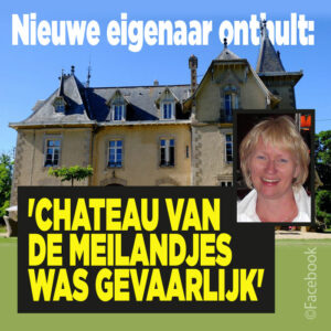 Nieuwe eigenaar onthult: &#8216;Chateau van de Meilandjes was gevaarlijk&#8217;