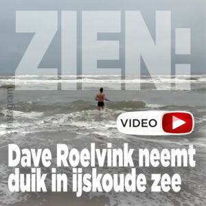 ZIEN: Dave Roelvink neemt duik in ijskoude zee