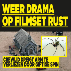 Weer drama op filmset Rust: crewlid dreigt arm te verliezen door giftige spin