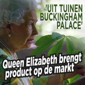 Queen Elizabeth brengt product op de markt