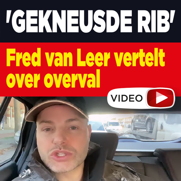 Fred van Leer
