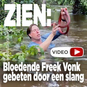 ZIEN: Bloedende Freek Vonk gebeten door een slang
