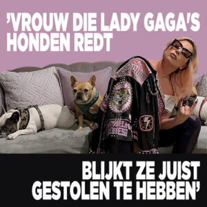 ’Vrouw die Lady Gaga&#8217;s honden redt blijkt ze juist gestolen te hebben’