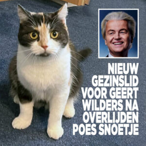 Nieuw gezinslid voor Geert Wilders na overlijden poes Snoetje