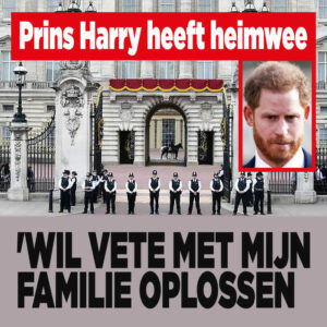 Prins Harry heeft heimwee: &#8216;Wil vete met familie oplossen&#8217;