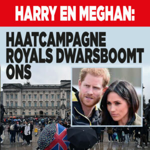 Harry en Meghan: &#8216;Haatcampagne royals dwarsboomt ons&#8217;