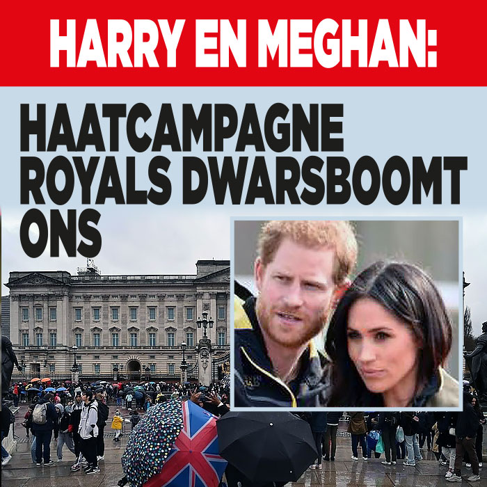Haatcampagne royals dwarsboomt Harry en Meghan