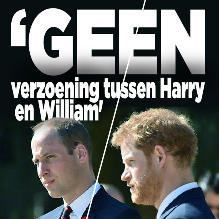 Geen verzoening William en Harry