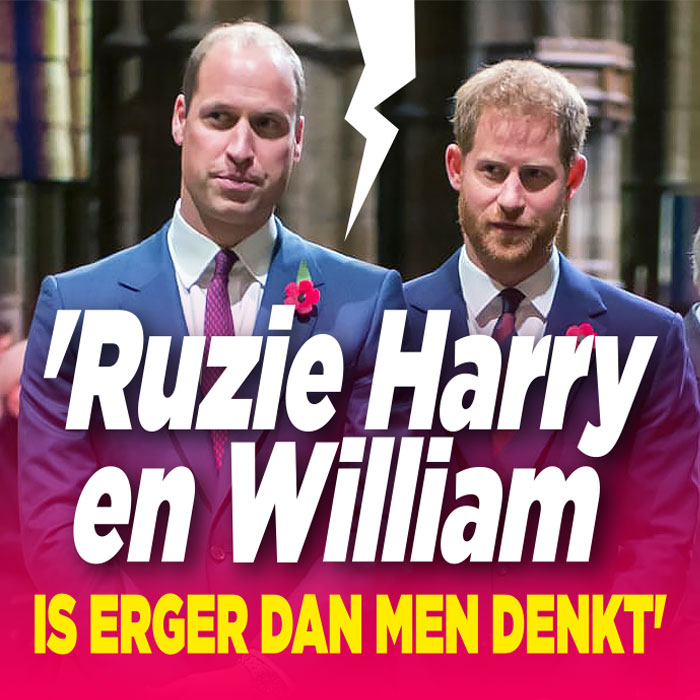 Ruzie Harry en William