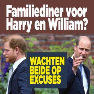 Familiediner voor Harry en William? &#8216;Wachten beide op excuses&#8217;