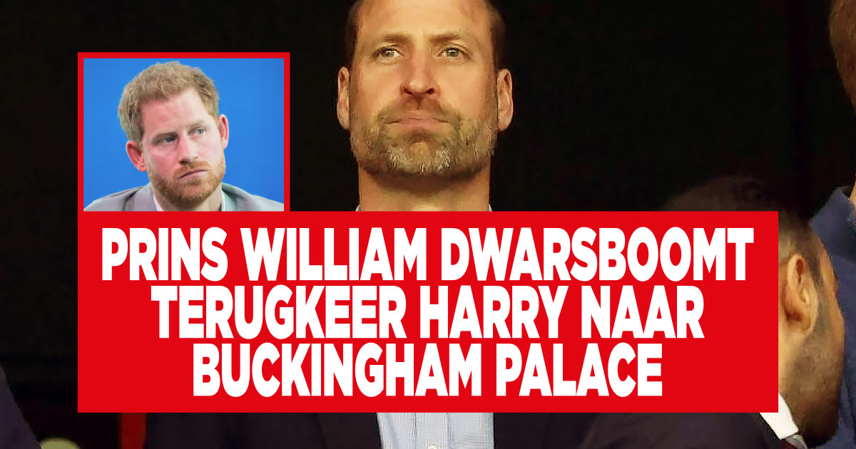 William heeft geen zin in broer