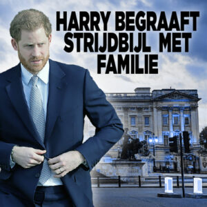 Prins Harry begraaft strijdbijl met familie