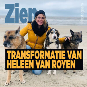 Wauw: transformatie van Heleen van Royen