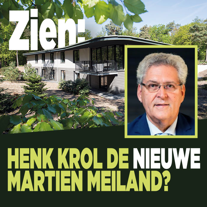 Wordt Henk Krol de nieuwe Martien Meiland?