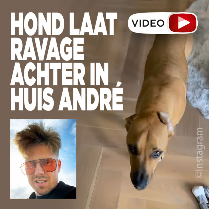 Hond laat ravage achter in huis André