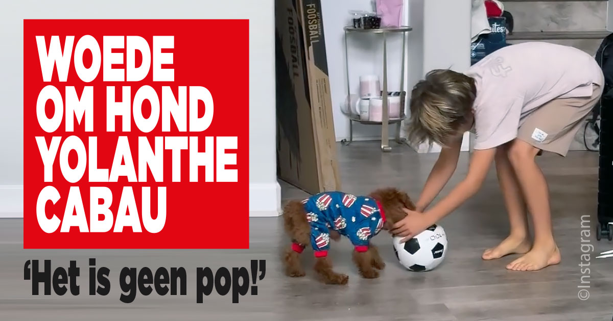 Woede om mishandeling hond Yolanthe